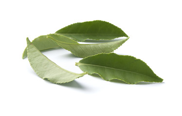Leaves of tea