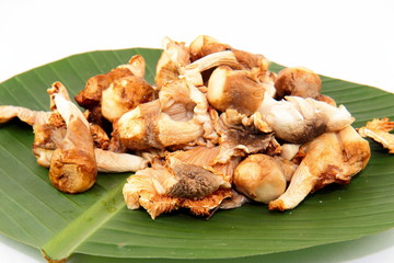 thailand Mushrooms