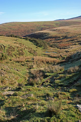 Dartmoor, Devon