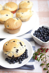Blueberry Muffins