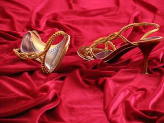 Opened feminine loafer.