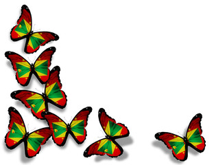 Grenada flag butterflies, isolated on white background