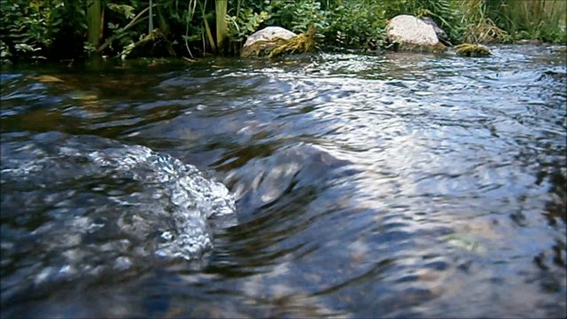 Wasserlauf in der Tangersdorfer Heide