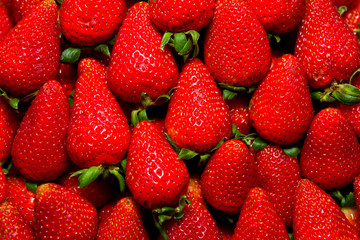 Organic fresh strawberries