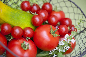Frisches Gemüse - Vegetables