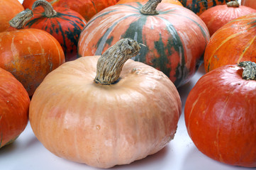 Ripe pumpkins