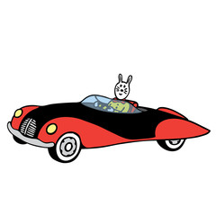 Obraz premium Rabbit driving red car