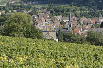 VILLAGE VITICOLE