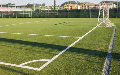 Fototapeta premium soccer field grass with net goal