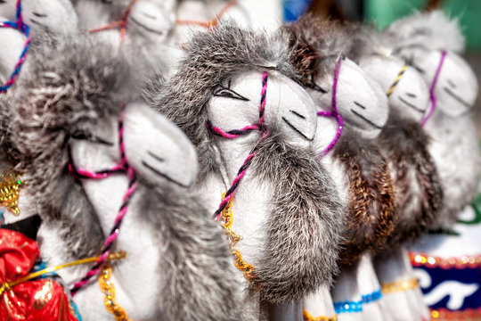 Camel toys