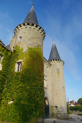 Fototapeta na wymiar chateau in france, covered in ivy