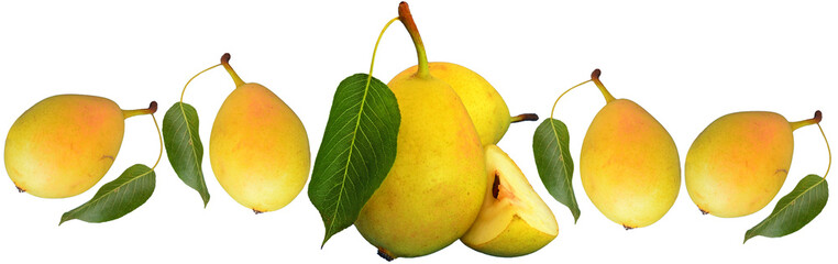 lane with pears