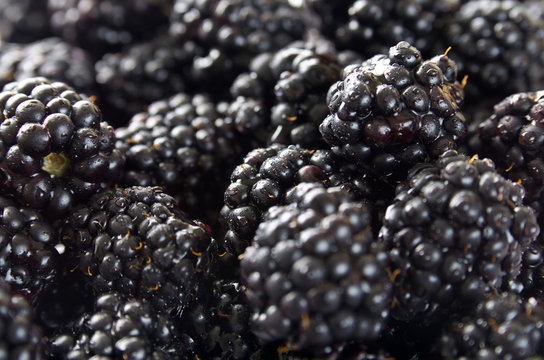 Stack of blackberry