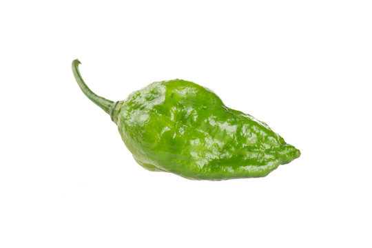 World hottest chillies