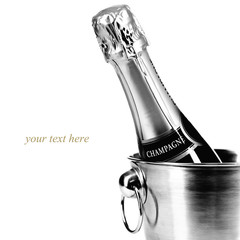 Champagne