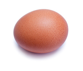 Egg isolated, white background