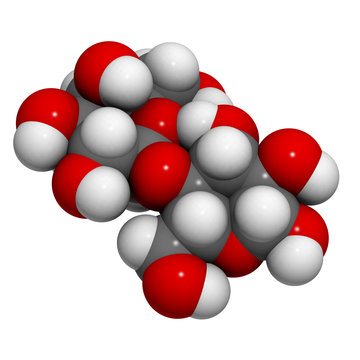 lactose (milk sugar) molecule, chemical structure