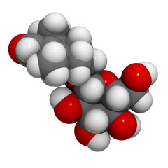 Picrocrocin (saffron taste) molecule, chemical structure