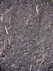 grey ground