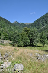 Vall&eacute;e de la Wormsa, Alsace