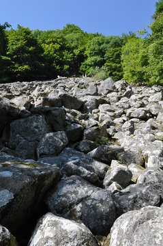 Moraines de la vall&eacute;e de la Wormsa, Alsace