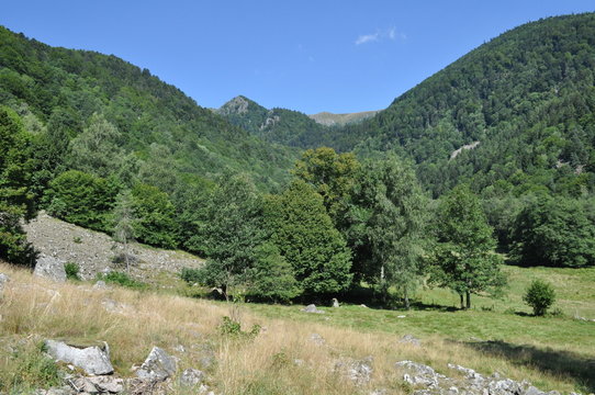 Vall&eacute;e de la Wormsa, Alsace