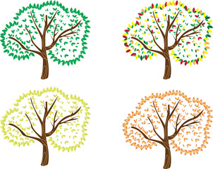 Obraz premium trees in different seasons