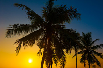 Obraz premium Beautiful tropical sunset