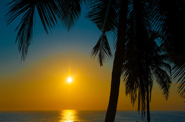 Beautiful tropical sunset