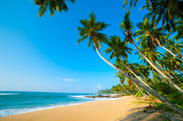 Fototapeta na wymiar Tropikalna plaża