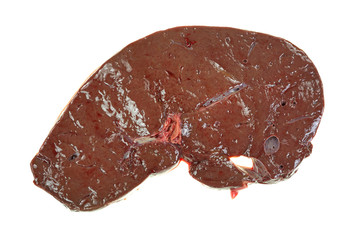 Slice of raw beef liver