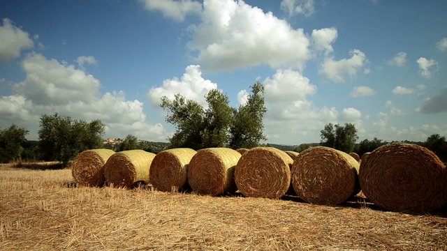 tuscany field with hay bales