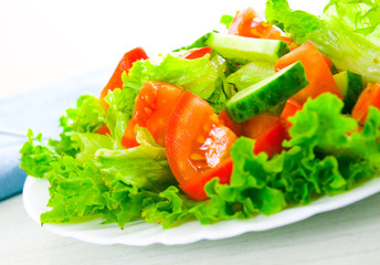 fresh vegetable salad on plate