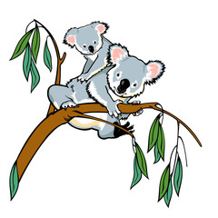 Fototapeta premium miś koala z joeyem wspinającym się na gałąź eukaliptusa