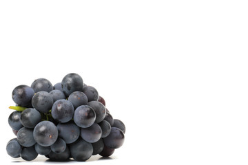 Weintrauben blau