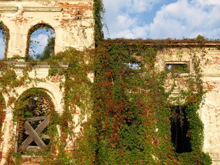 Castle ruins