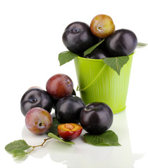 Rip plums in pail isolated on white