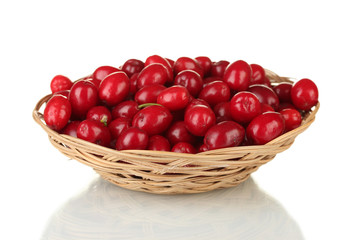 fresh cornel berries in wicker bowl isolated on white