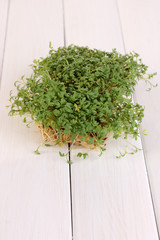 Fresh garden cress close-up on wooden table