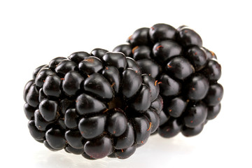 beautiful blackberries isolated on white