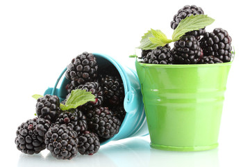 beautiful blackberries with leaves in buckets isolated on white