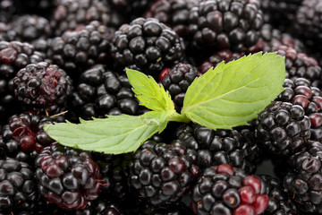 background of beautiful blackberries with leaves