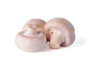 Three white mushrooms isolated on a white background