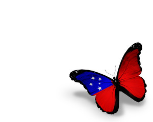 Samoa flag butterfly, isolated on white background