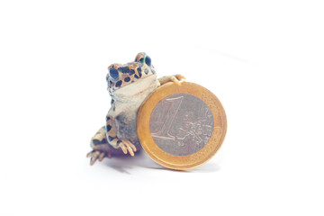 various coins and crazy frog