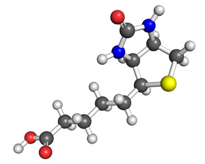 Vitamin B7 molecule