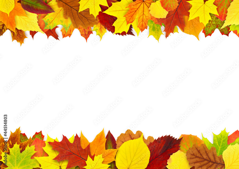 Sticker isolated autumn frame. two borders of colorful autumn tree leaves isolated on white background
