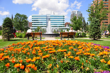 An urban park in Calgary