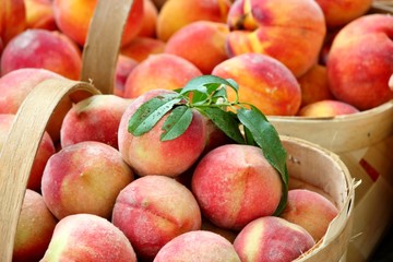 Basket of peaches - 44517209