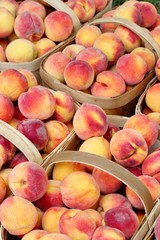 Basket of peaches